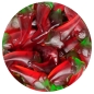 Preview: Yummi Hot Chilli Peppers extra scharf Preview: Yummi Hot Chilli Peppers extra scharf